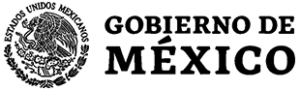 Gobierno de Mexico logo negro